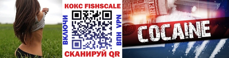 Кокаин Fish Scale  ОМГ ОМГ ссылка  Луза 